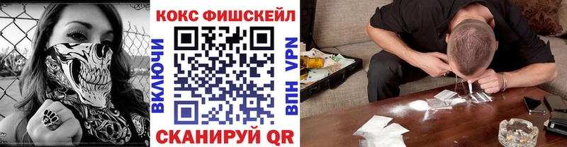 купить закладку  Чекалин  Кокаин Fish Scale 