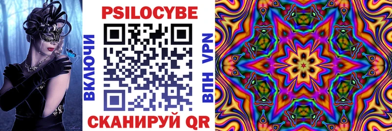 Галлюциногенные грибы мицелий  купить наркотик  Чекалин 